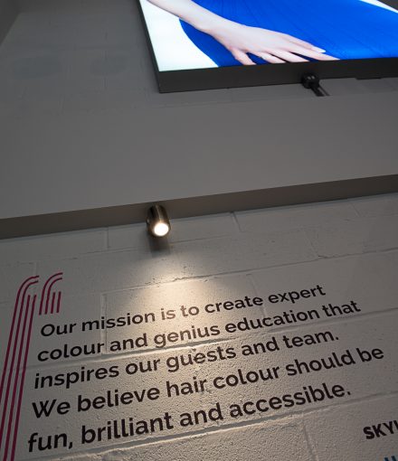 expert hair colour and genius education