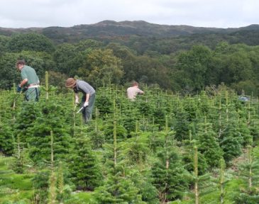 Workforce pruning