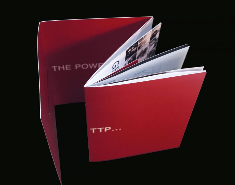 thetechnologypartnership-brochure-05