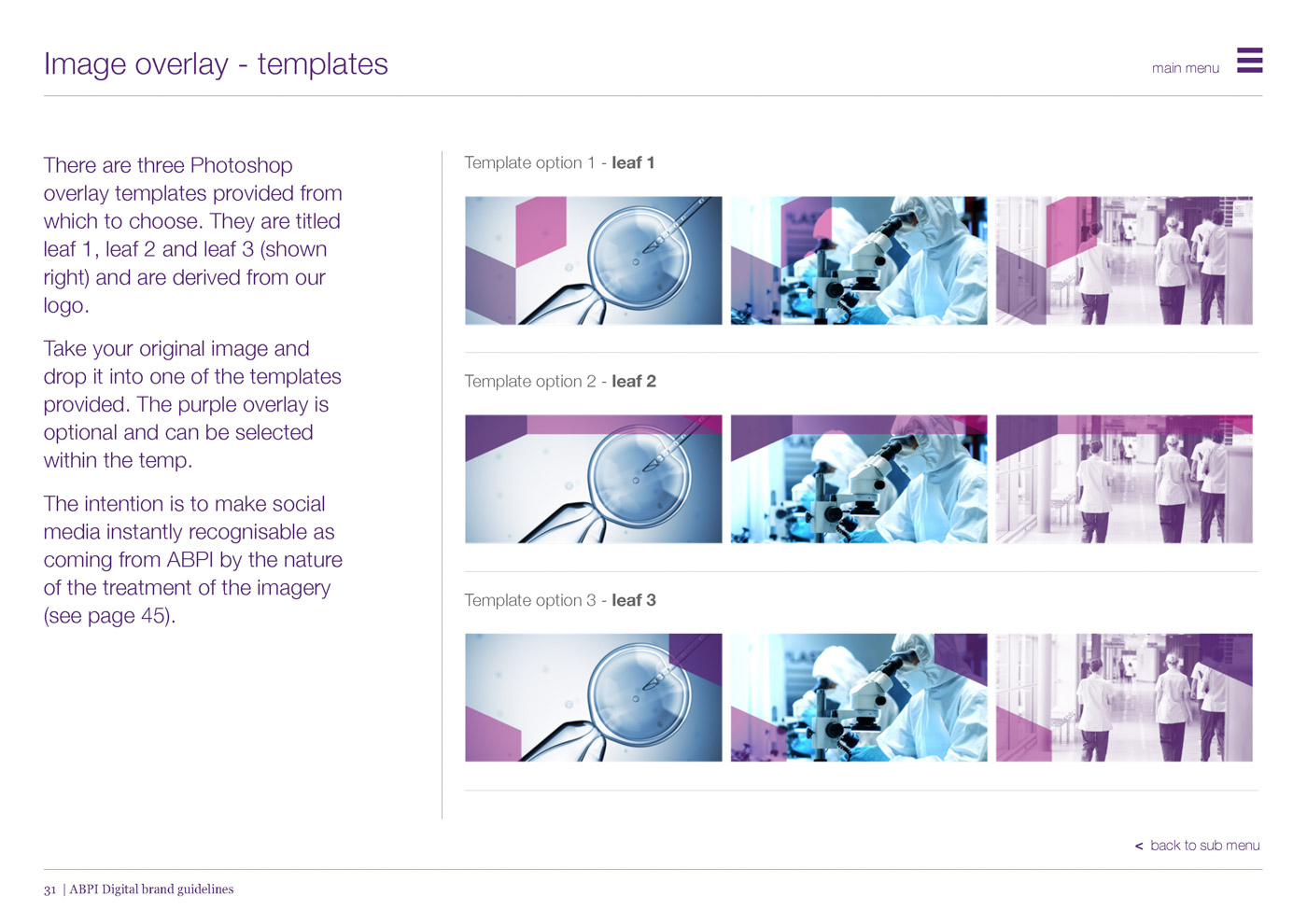 ABPI-Digital-Brand-Guidelines_V3_Page_31