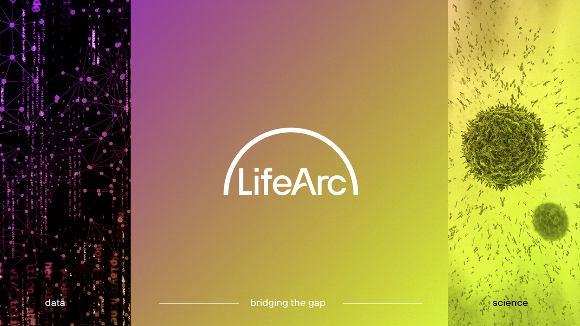 life-arc-carousel-4